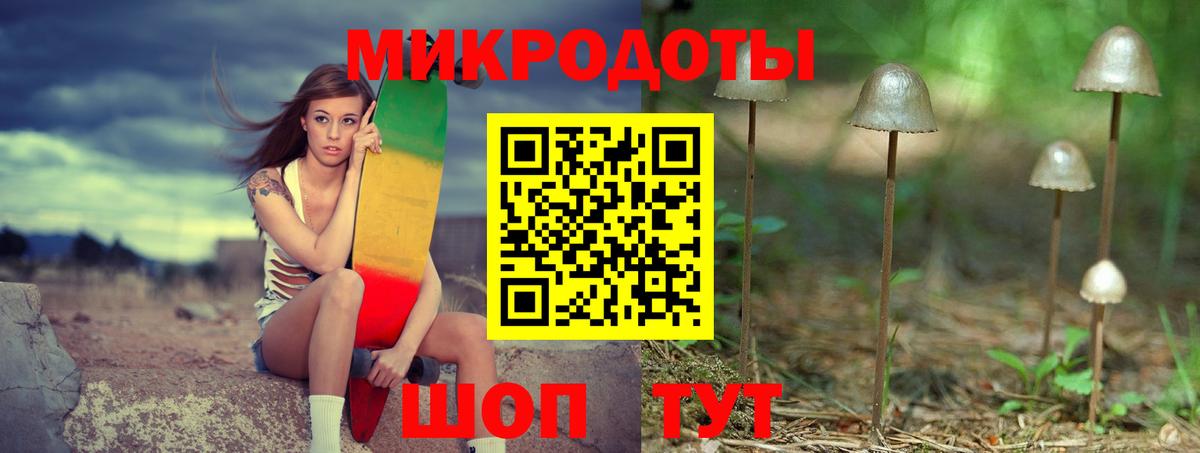 Псилоцибиновые грибы Cubensis  Вход с VPN  Арсеньев 